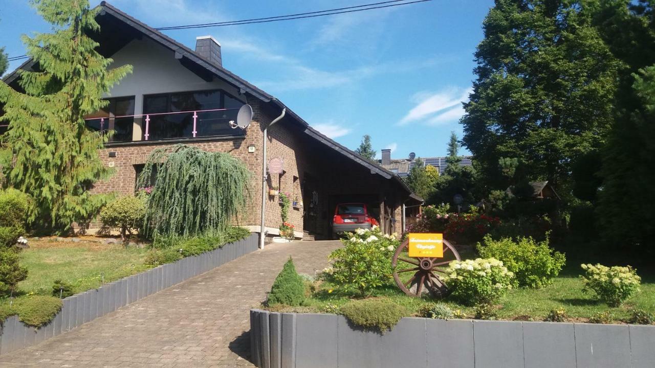 Ferienwohnung Virginija Ditscheid 外观 照片