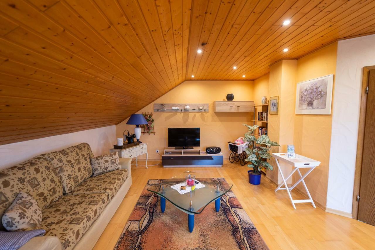 Ferienwohnung Virginija Ditscheid 外观 照片